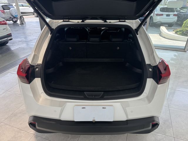 LEXUS凌志 UX250H  第18張相片