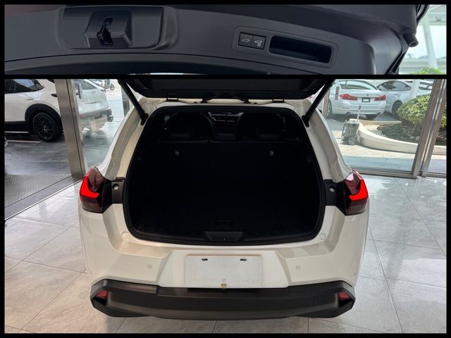 LEXUS凌志 UX250H  第18張相片