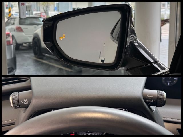 LEXUS凌志 UX250H  第20張相片