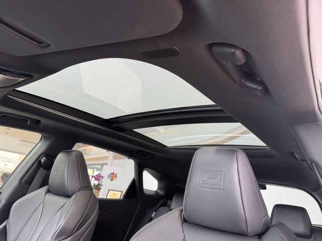 LEXUS凌志 RX350  第8張相片