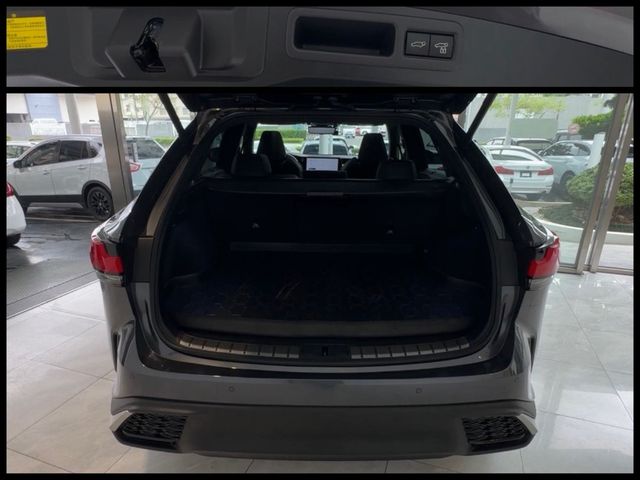 LEXUS凌志 RX350  第19張相片