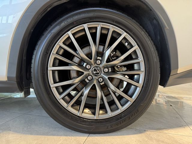 LEXUS凌志 RX300  第4張相片
