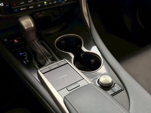 LEXUS凌志 RX300  第14張相片