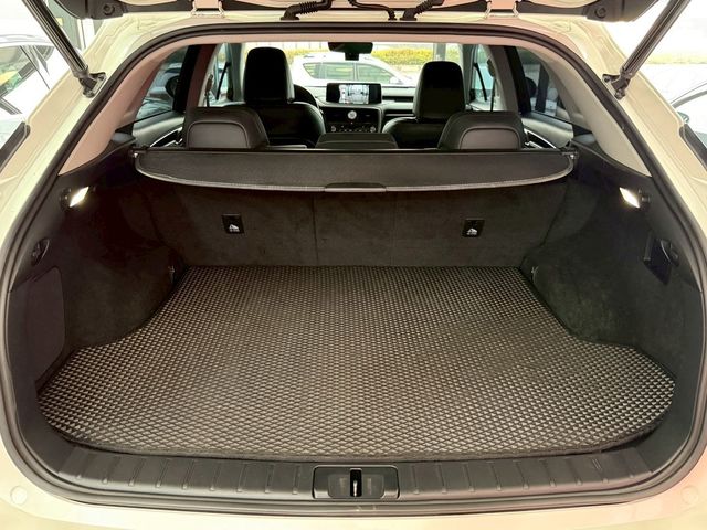 LEXUS凌志 RX300  第19張相片