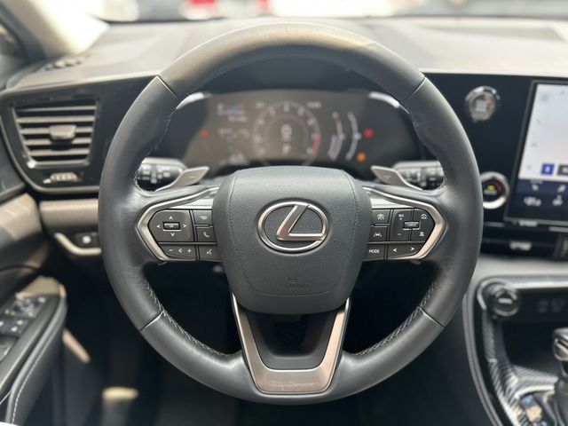 LEXUS凌志 NX200  第8張相片