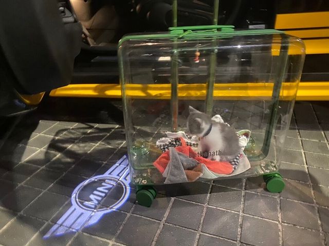 MINI迷你 COUNTRYMAN S  第16張相片
