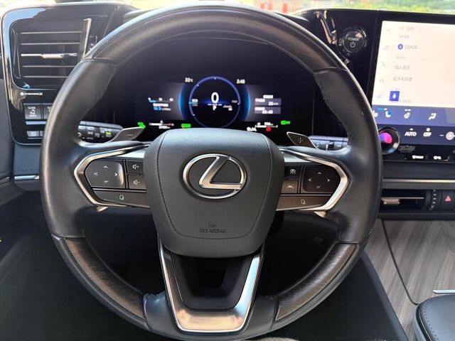 LEXUS凌志 LM500H  第8張相片