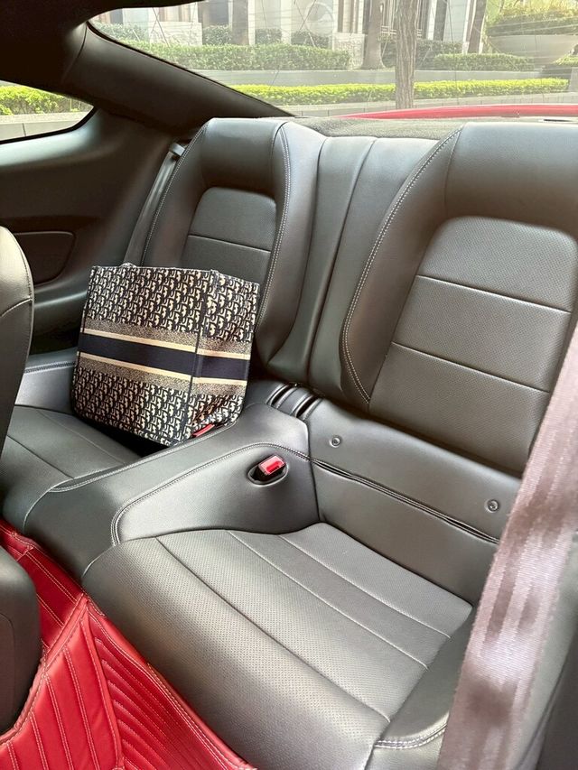 FORD福特 MUSTANG  第10張相片