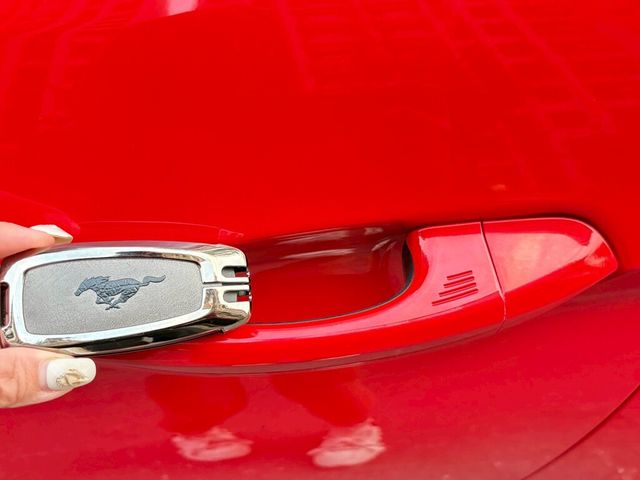 FORD福特 MUSTANG  第14張相片