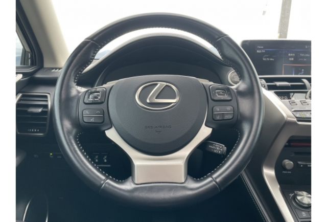 Lexus NX300  第10張相片