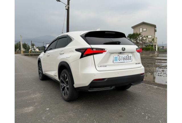 2015 NX300h F Sport版  第3張相片