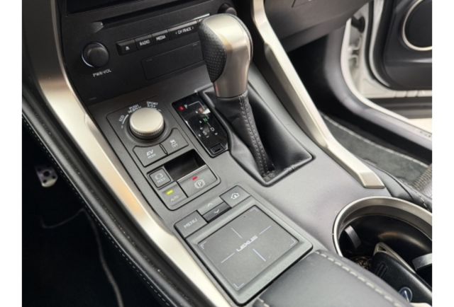 2015 NX300h F Sport版  第15張相片