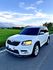 SKODA司科達 YETI  第1張縮圖