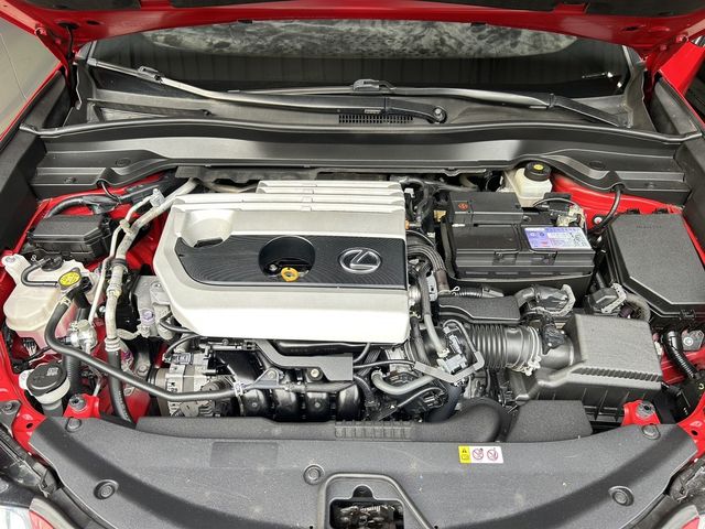 LEXUS凌志 UX200  第33張相片