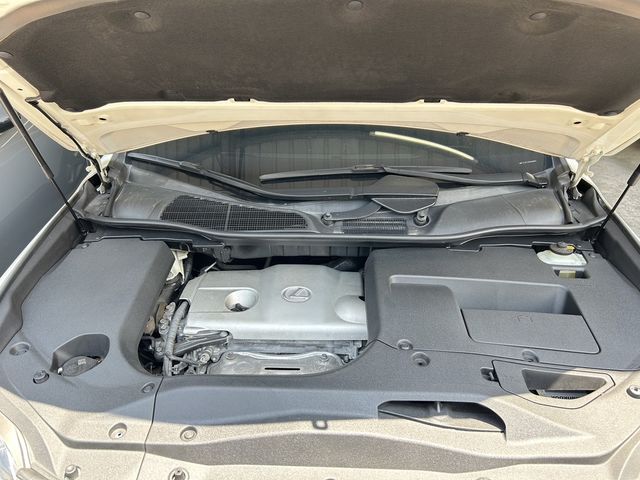 LEXUS凌志 RX270  第18張相片