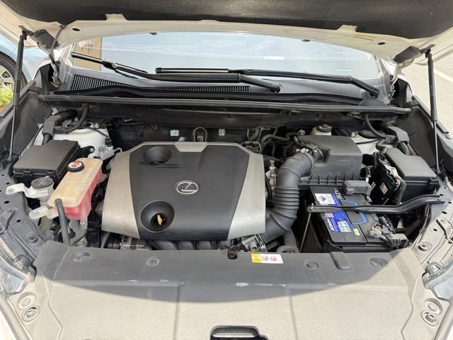 LEXUS凌志 NX200  第15張相片