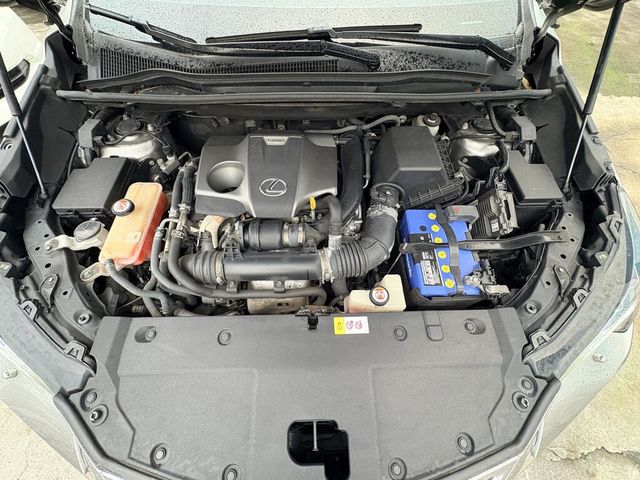 LEXUS凌志 NX300  第6張相片