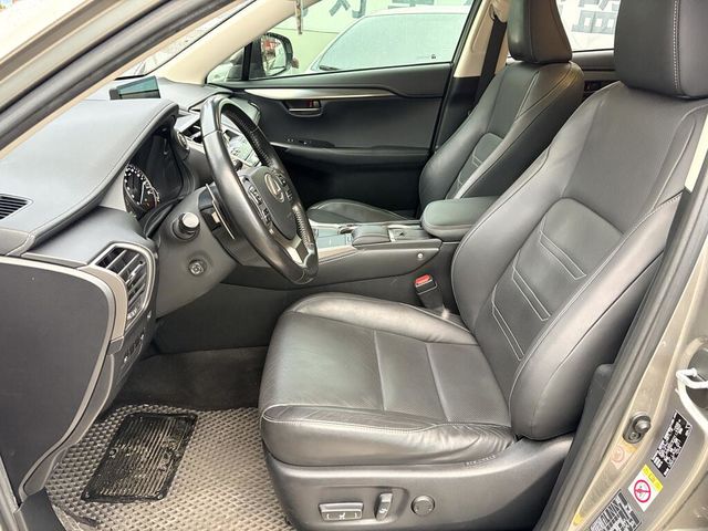 LEXUS凌志 NX300  第13張相片