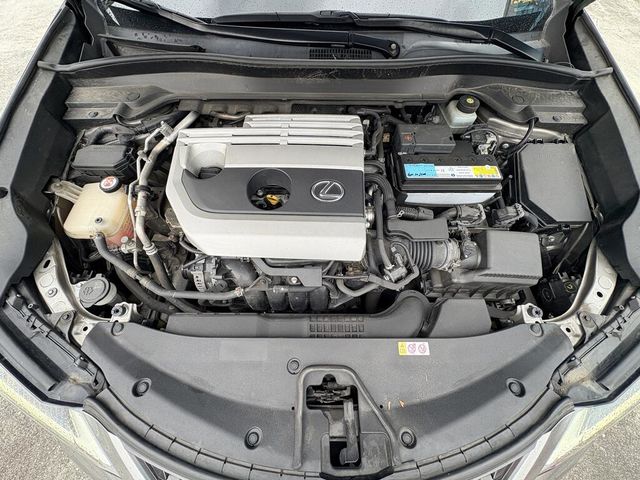 LEXUS凌志 UX200  第6張相片