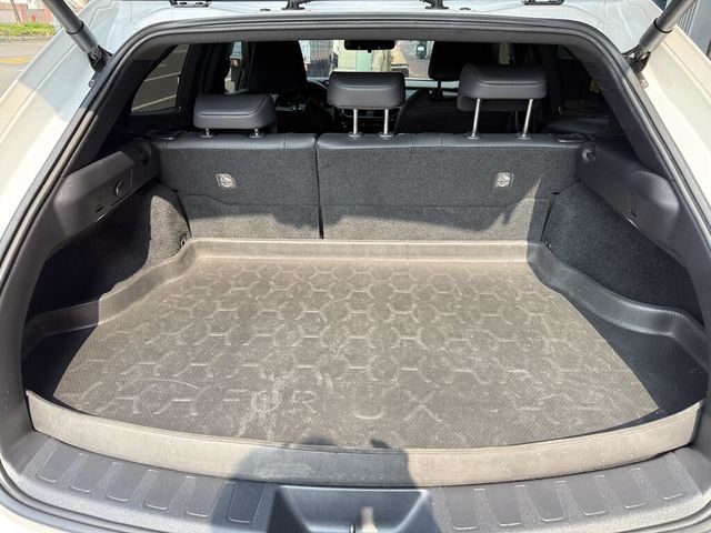 LEXUS凌志 UX250H  第19張相片