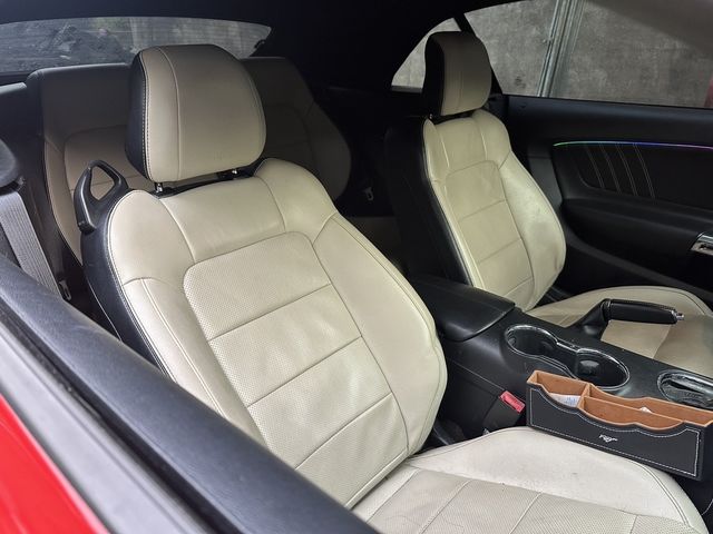FORD福特 MUSTANG  第11張相片