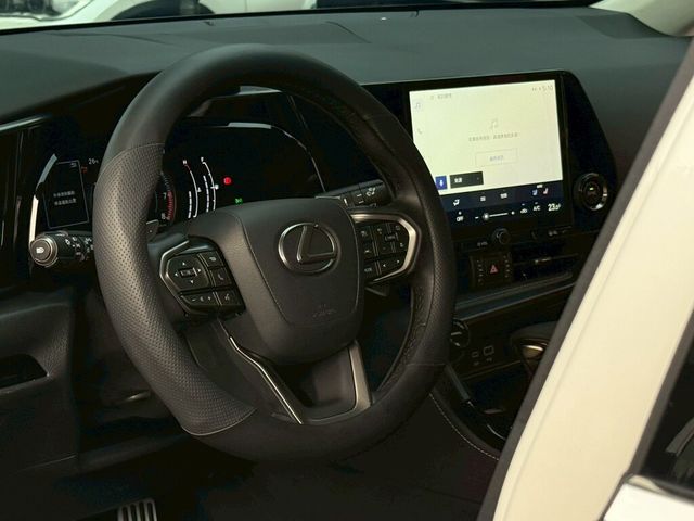 LEXUS凌志 NX200  第15張相片