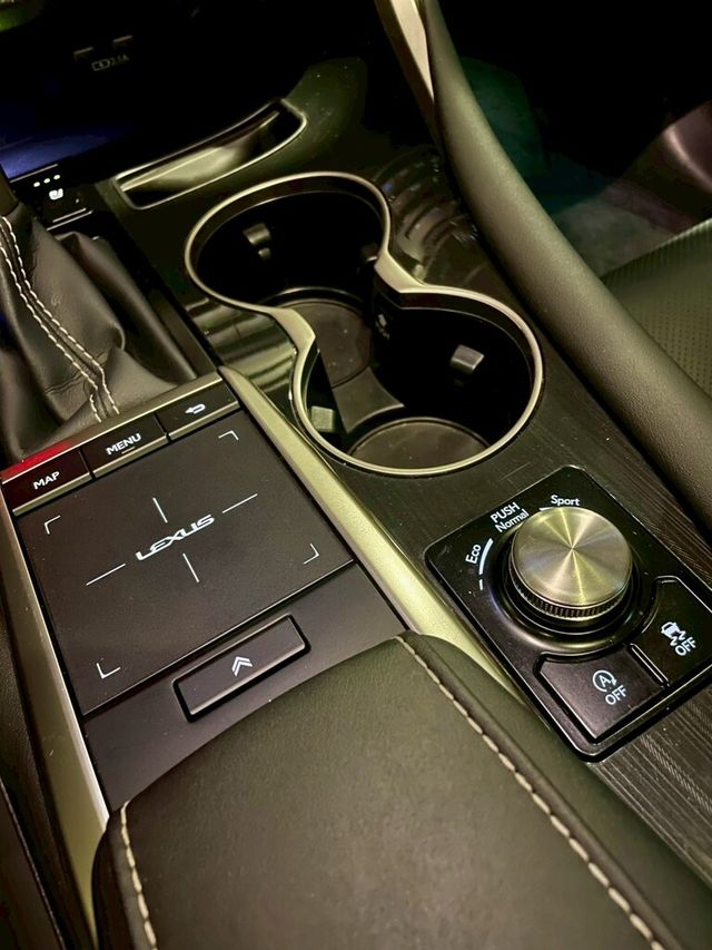 LEXUS凌志 RX300  第15張相片