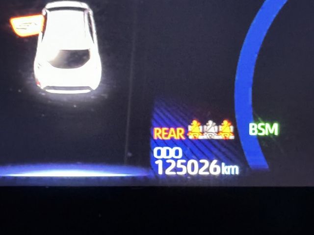 AURIS  第11張相片