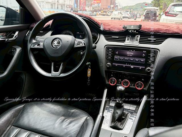 OCTAVIA COMBI  第10張相片