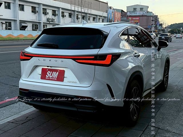 跟車系統，盲點，電動尾門  第20張相片