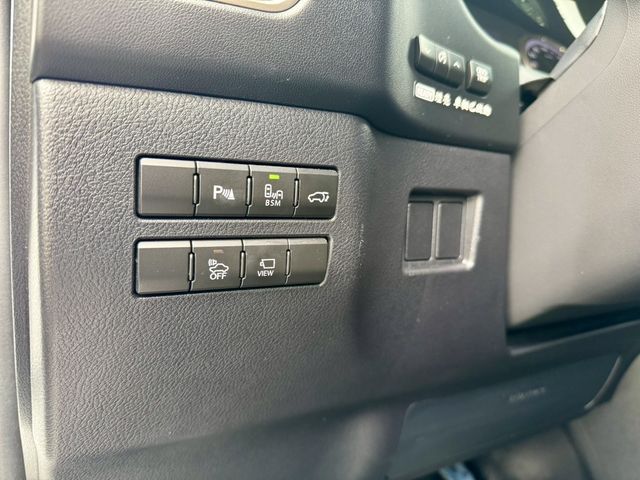 LEXUS凌志 NX300H  第12張相片