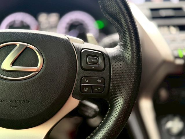 LEXUS凌志 NX300  第9張相片