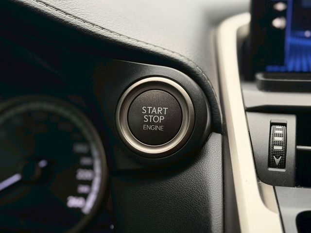 LEXUS凌志 NX300  第10張相片