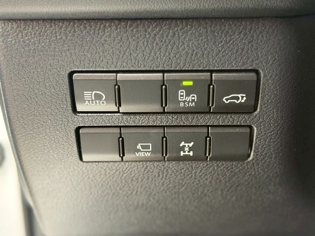 LEXUS凌志 NX300  第11張相片