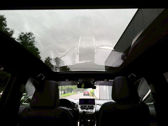 LEXUS凌志 NX300  第18張相片