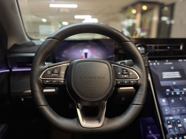 原版件 長程LR 亮點版 新車144 全景天窗 盲點 電尾門 電動椅 360環景  第9張相片