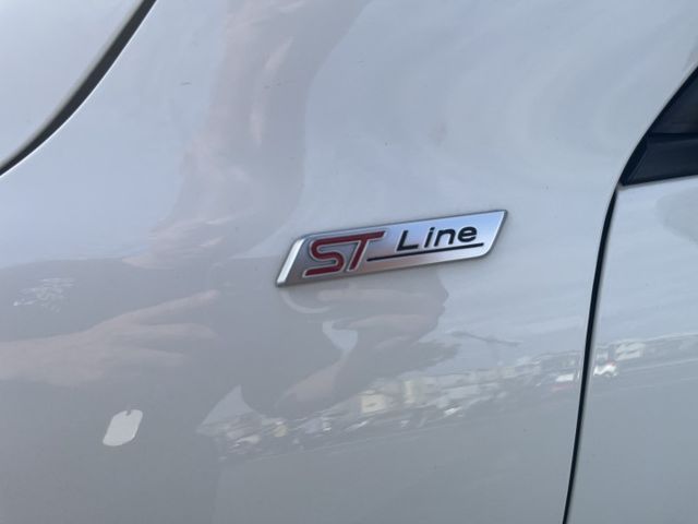 原版件、4WD、ST-LINE、360環景、全景天窗、BO音響、電動椅、電尾門、盲點  第19張相片