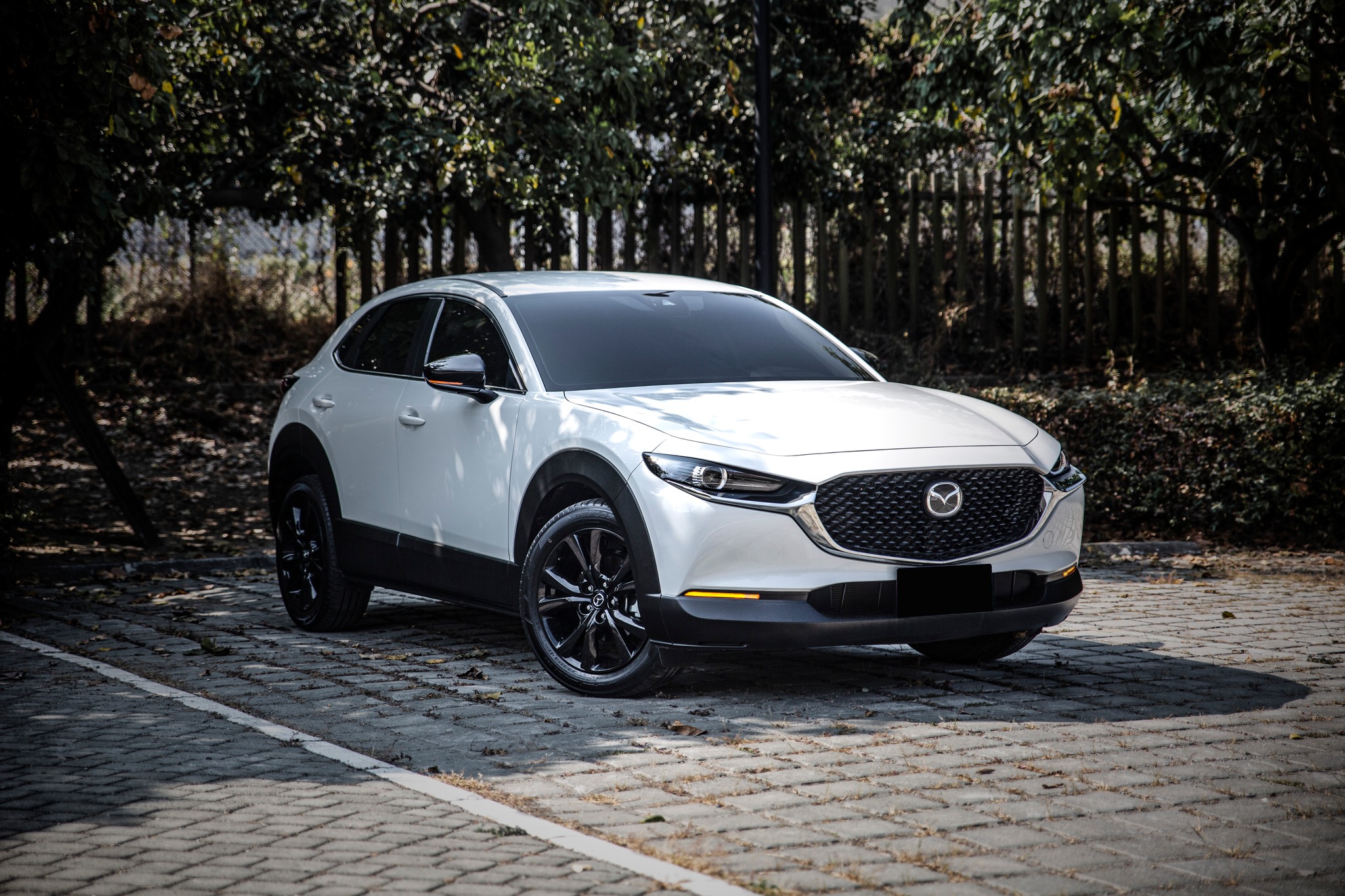 【滿18歲即可申貸】22年 CX-30 Carbon Edition 黑化套件  第1張相片