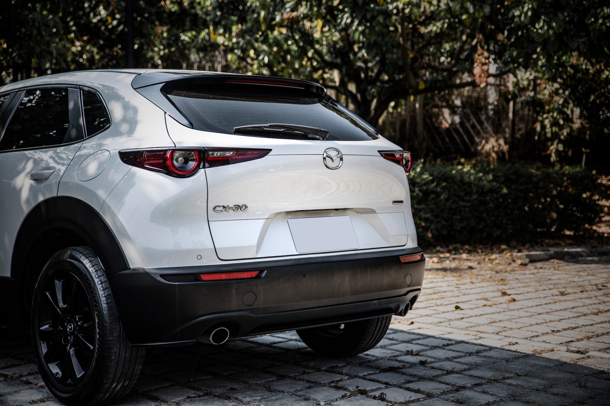 【滿18歲即可申貸】22年 CX-30 Carbon Edition 黑化套件  第6張相片