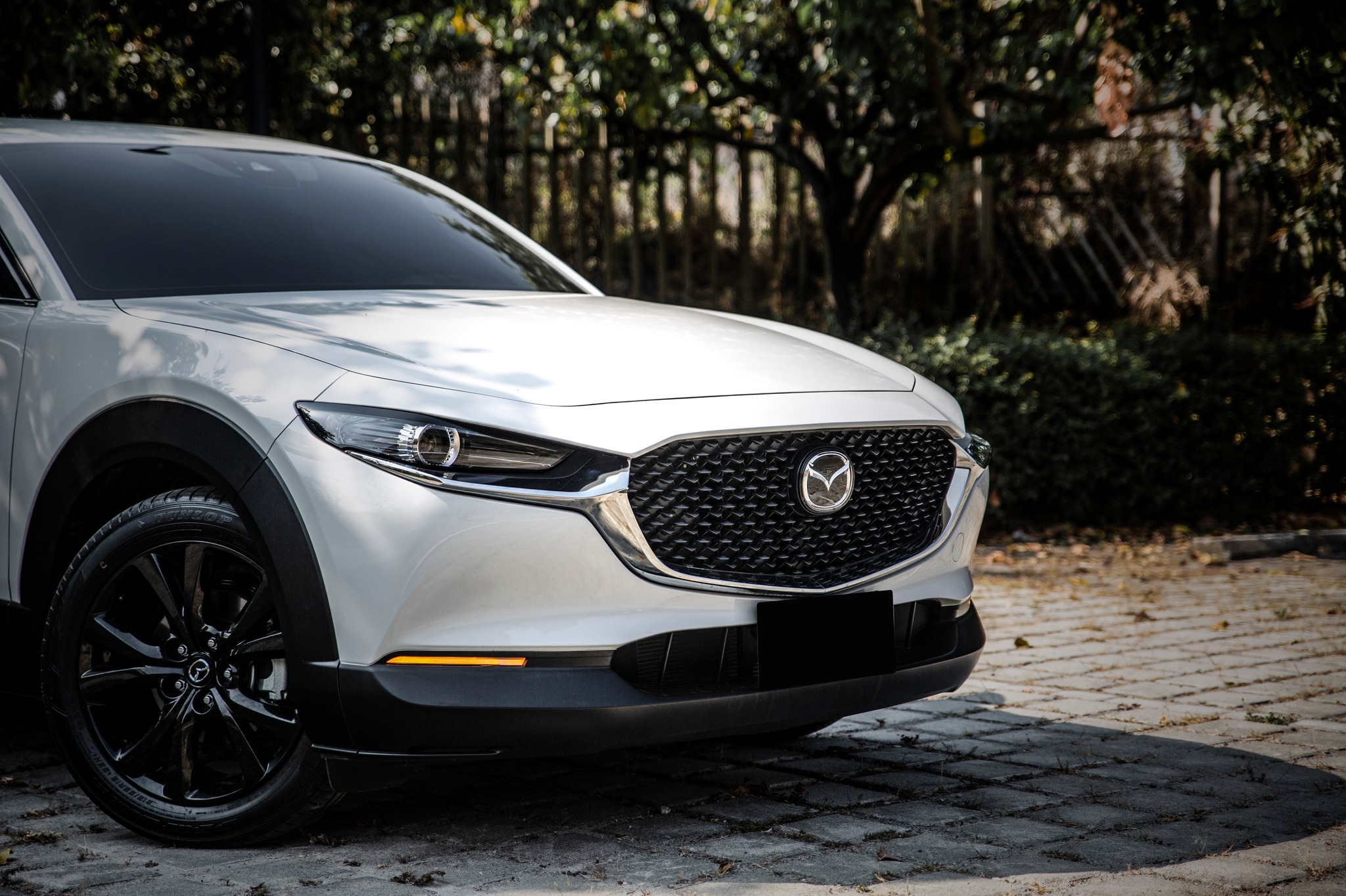 【滿18歲即可申貸】22年 CX-30 Carbon Edition 黑化套件  第10張相片