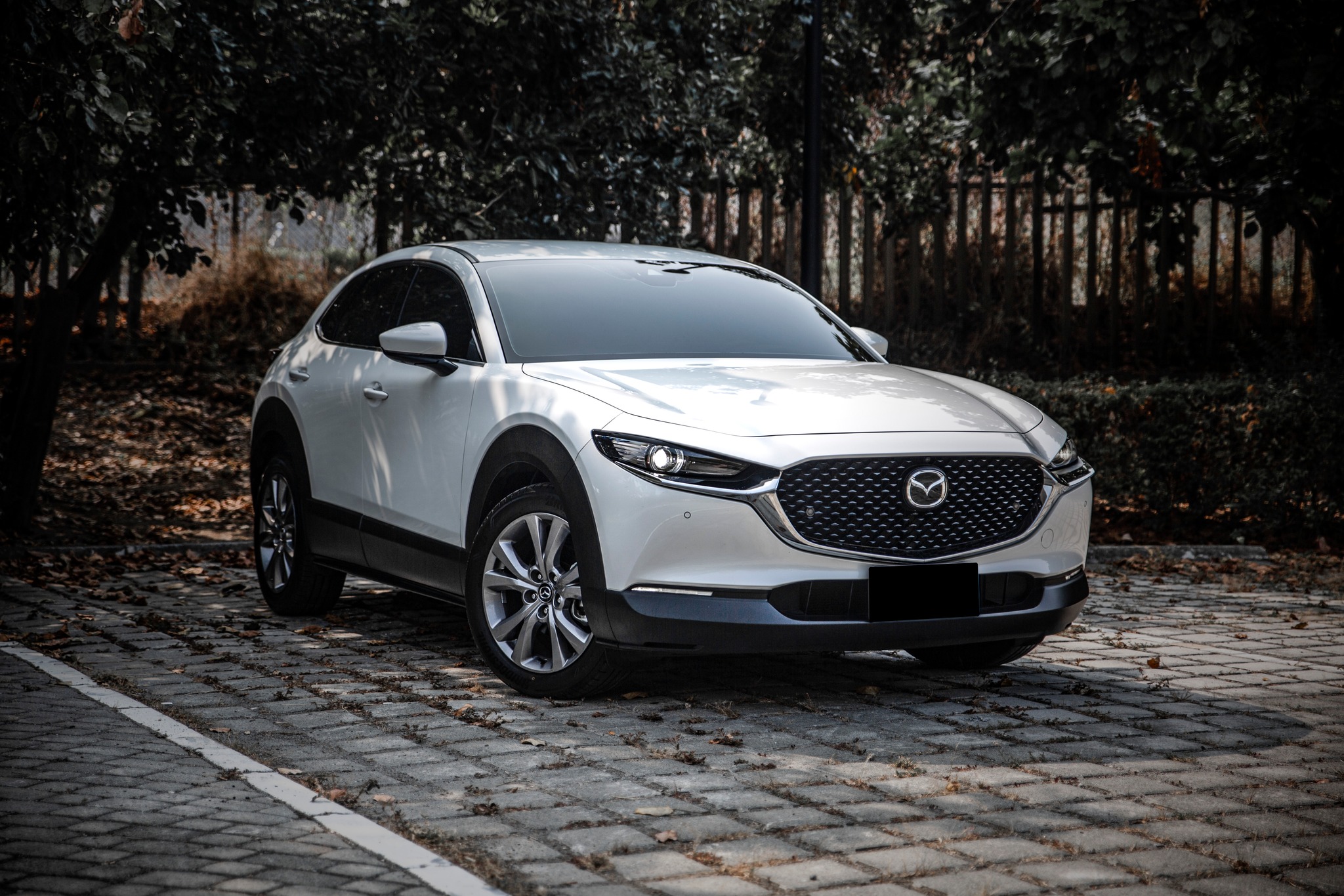 【滿18歲即可申貸】21年 CX-30 20S Premium 環景 電尾門  第1張相片