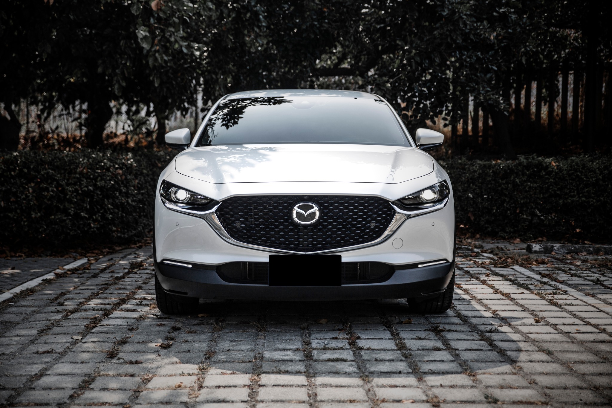 【滿18歲即可申貸】21年 CX-30 20S Premium 環景 電尾門  第2張相片