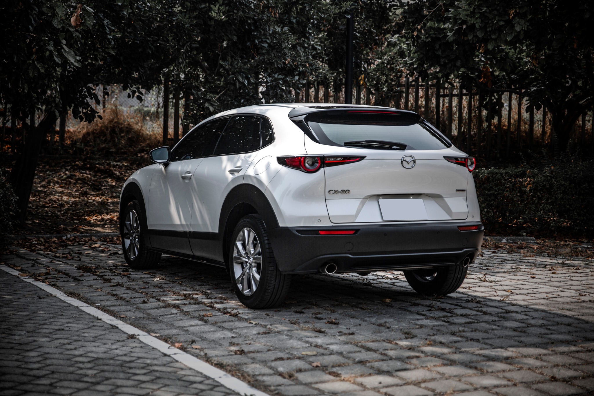 【滿18歲即可申貸】21年 CX-30 20S Premium 環景 電尾門  第10張相片