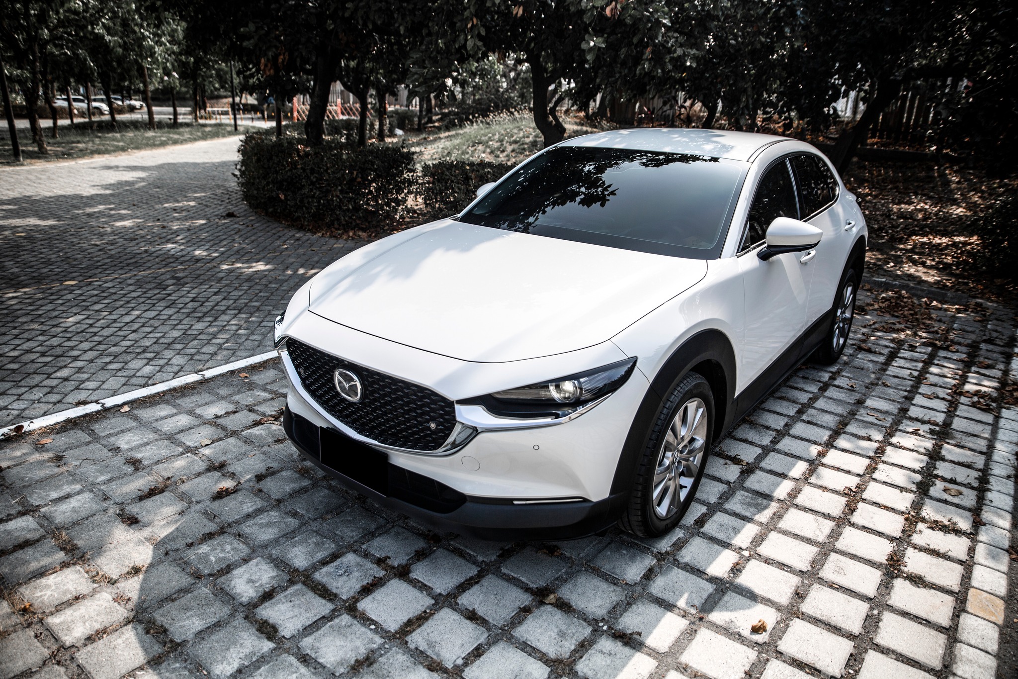 【滿18歲即可申貸】21年 CX-30 20S Premium 環景 電尾門  第11張相片