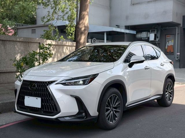 NX200豪華版 跟車/電尾門/電動椅/環景影像/加熱椅/電子後視鏡 原版件 定期保養 新車保固中  第1張相片