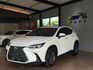 NX200豪華版 跟車/電尾門/電動椅/環景影像/加熱椅/電子後視鏡 原版件 定期保養 新車保固中  第1張縮圖