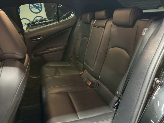 Lexus UX  第19張相片