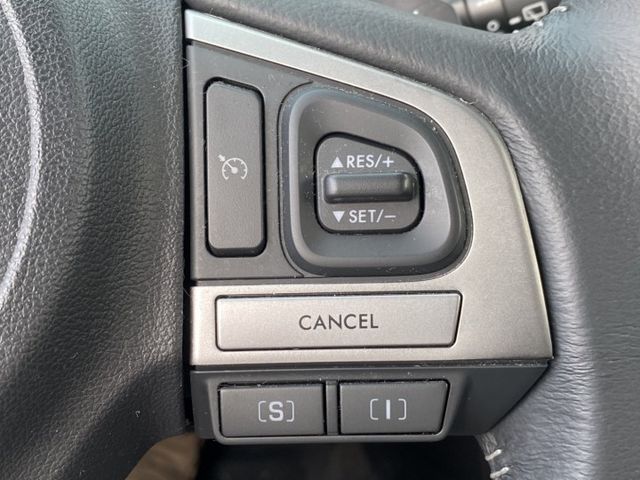 2016 SUBARU FORESTER｜大空間、高視野、舒適好開，家庭出遊與日常代步都很適合！  第10張相片