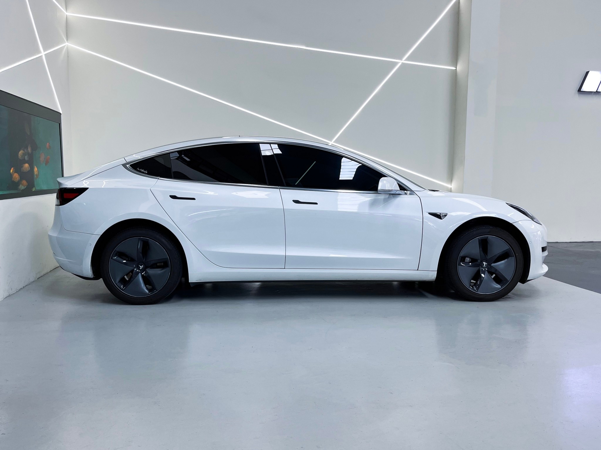 Model3 SR版本.頂級連線.全速域跟車.環景 挑戰最低價  第2張相片