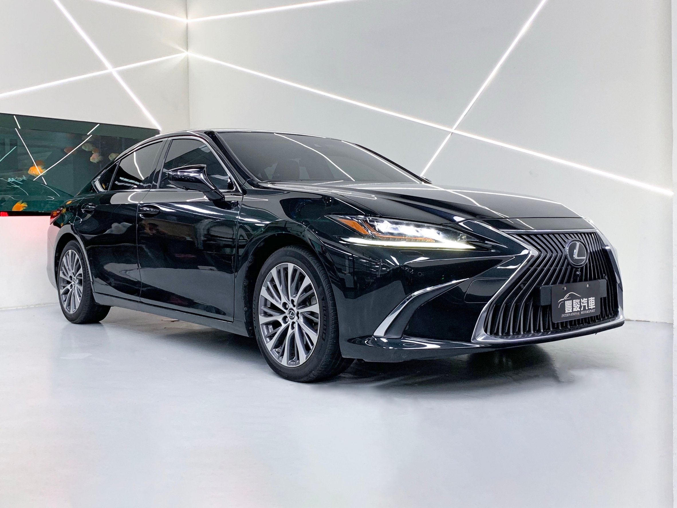 2018 ES250 旗艦版 ACC主動跟車 360環景 電動全景天窗 抬顯  第1張相片
